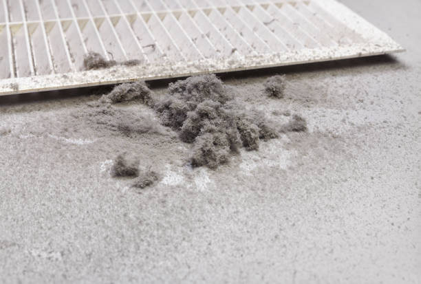 Best Best Air Duct Cleaning Company  in Gallipolis, OH